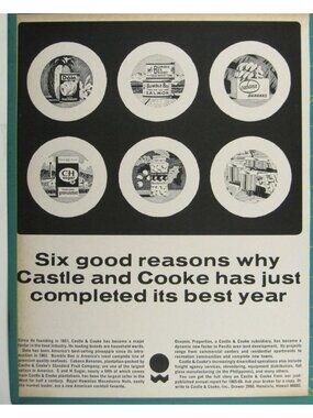 Print Ad Six Reasons Why Castle Cooke Completed Best Year 1966 Vintage CROPPED